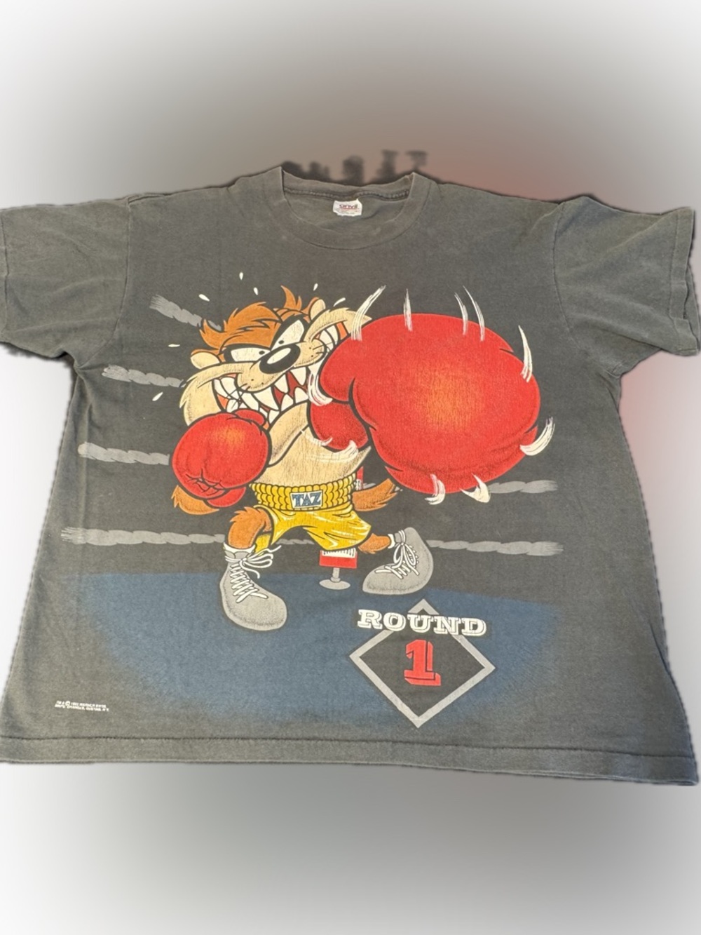 Vintage Taz Boxing Graphic T Shirt Looney Tunes Anvil USA Made  Size Large